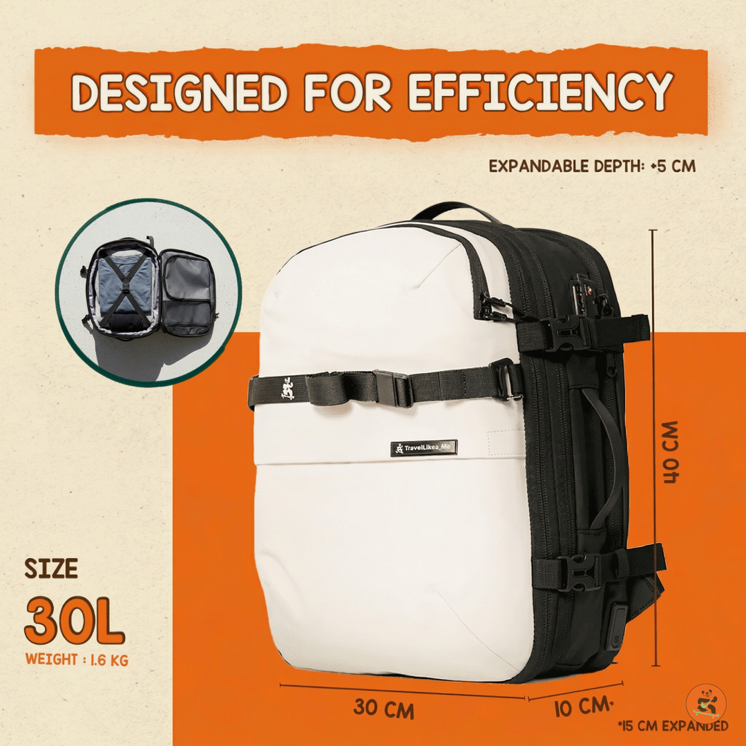 DayVault 30L Underseat Travel Backpack (TSA Lock)